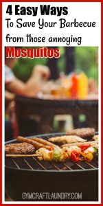 Don’t cut your summer parties short because of bugs!