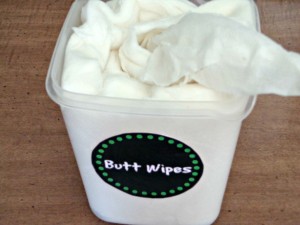 DIY Wet Wipes Scruggbug Corner