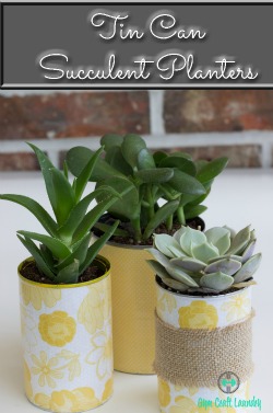 decoupage tin can succulent planter