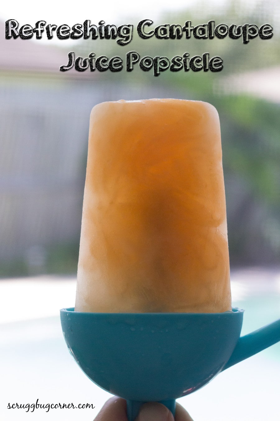 Scruggbug Corner Cantaloupe Juice Popsicle