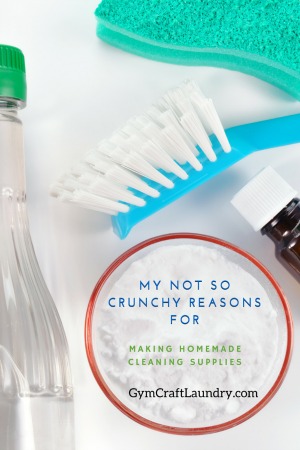 Why this horrible housewife makes DIY cleaning products