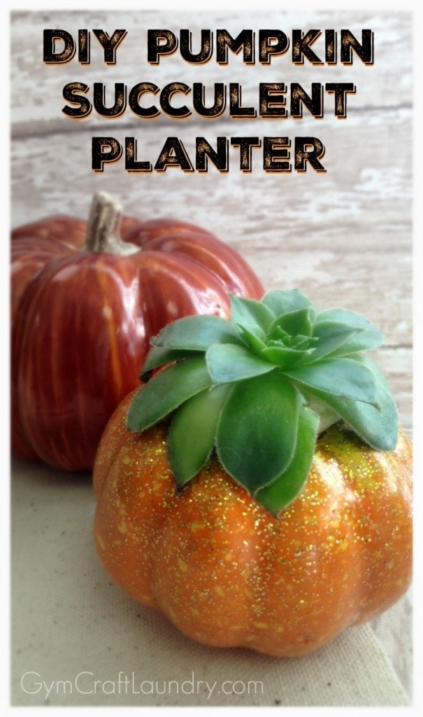 DIY Pumpkin Succulent Planter