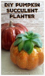 Pumpkin Succulent Planter