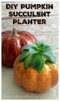 DIY-Pumpkin-Succulent-Planter-605x1024