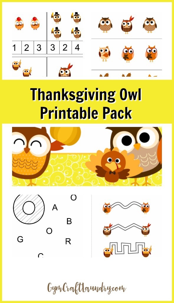 Free Thanksgiving Owl Lesson Printable Pack