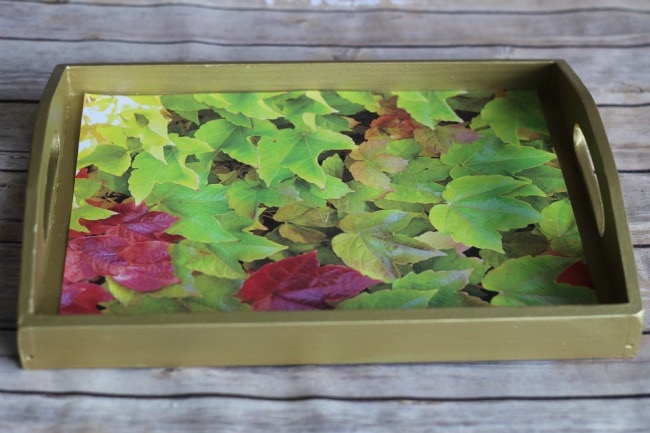 Upcycled paper covered tray