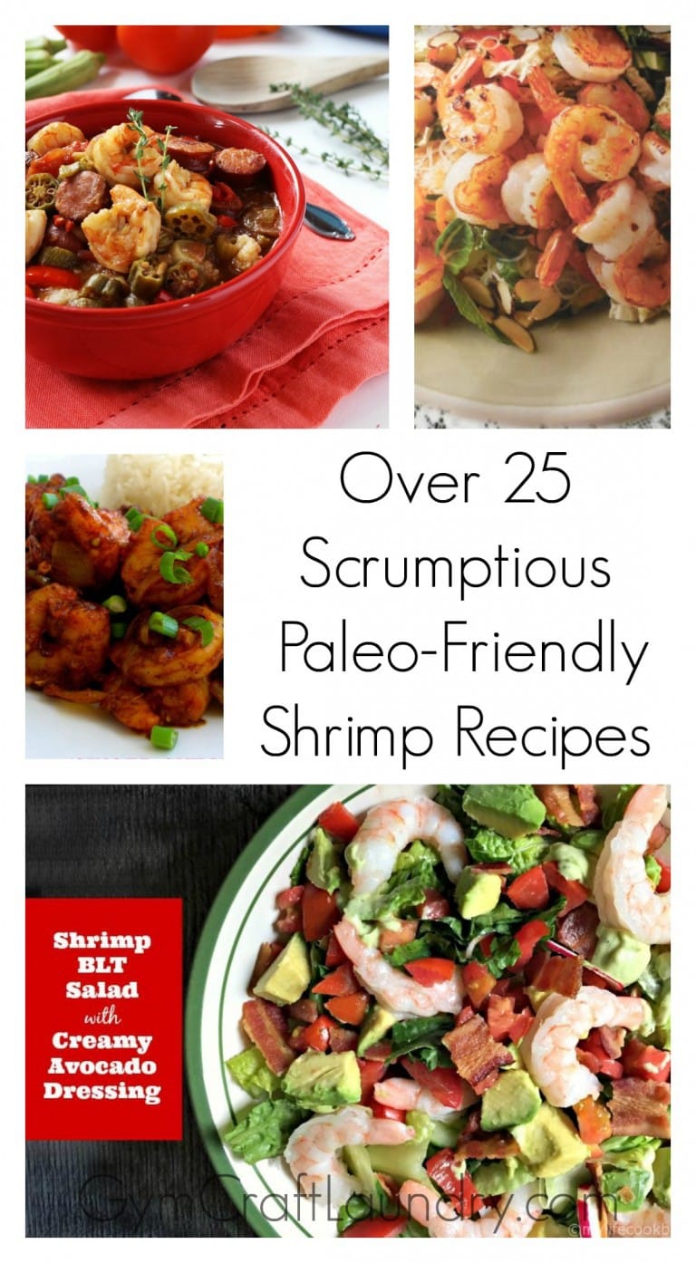 26 Paleo Friendly Shrimp Recipes to keep you on track!