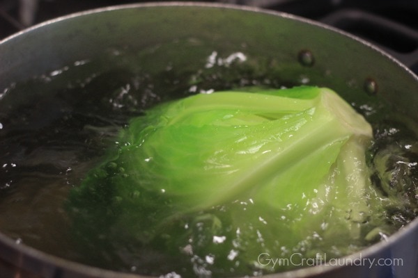 boiling cabbage for easy cabbage rolls