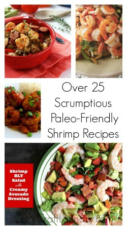 26-Paleo-friendly-shrimp-dishes