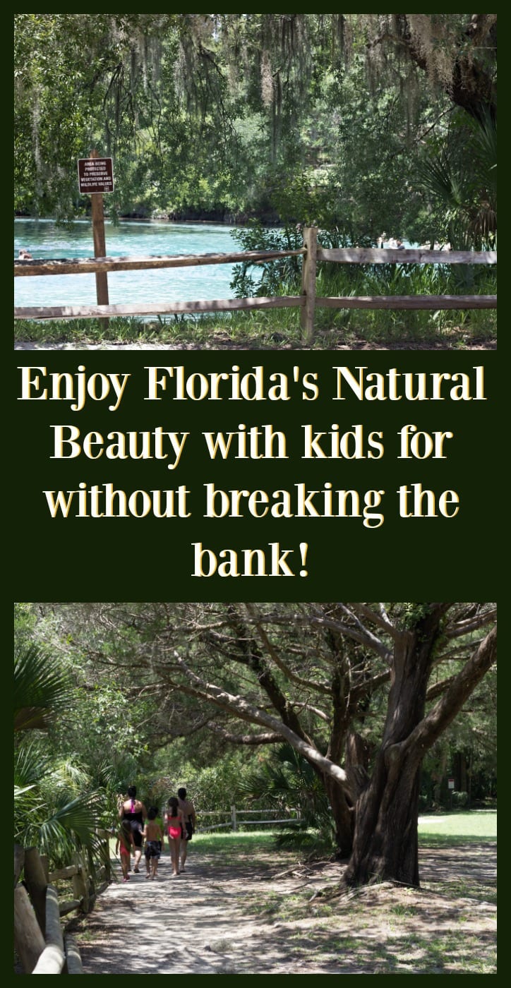 Frugal Ways to Have Fun in Florida with Kids