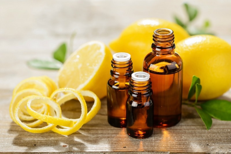 lemon essential oil stock cover