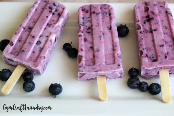 Blueberry Vanilla Protein