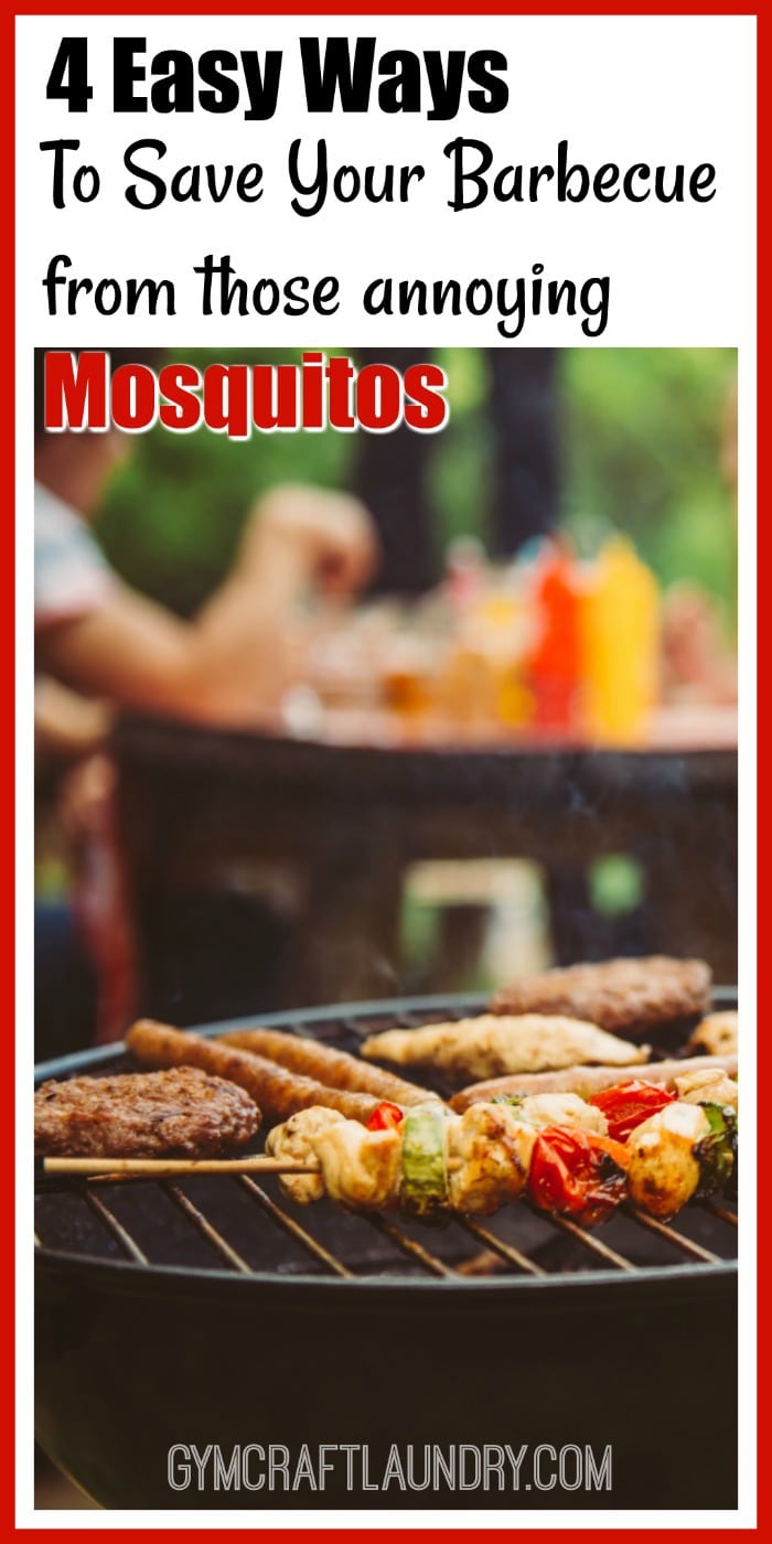 four easy ways to save your barbecue from mosquitoes. Homemade Solutions.