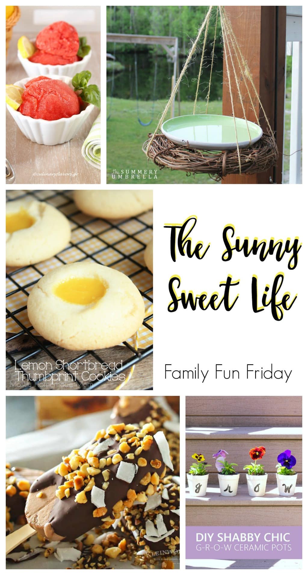 The sunny sweet life on family fun friday