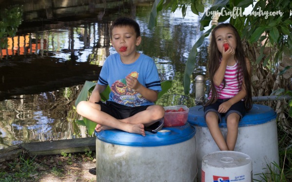 Watermelon by the river at Granpas