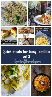 Quick meals for busy families 2