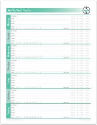 teal-fitnessmealtrackersmallfinal-5-1