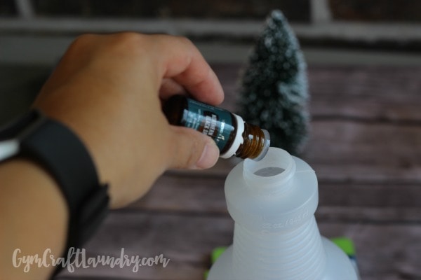 spruce-in-cleaning-spray