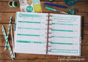 Happy Planner Fitness Inserts from Gym Craft Laundry