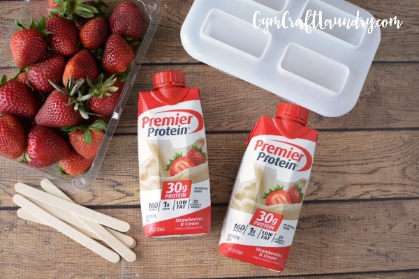 protein pudding recipe popsicle
