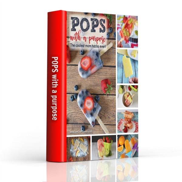 popsicle recipe book