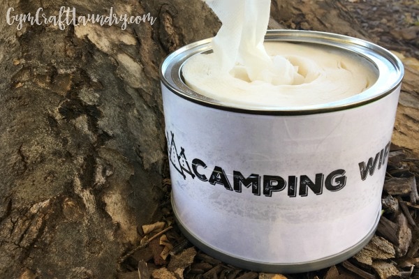 wet wipe recipe for camping wipes