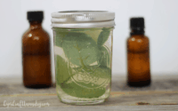 homemade natural air freshener